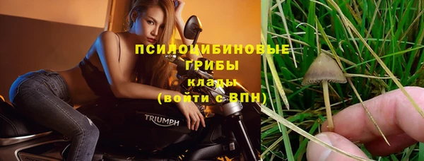 мяу мяу мука Няндома